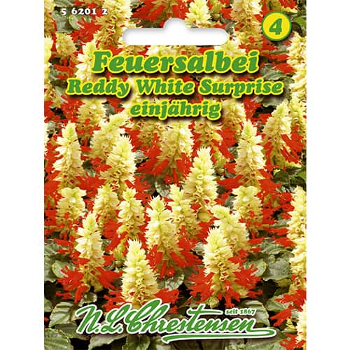 Šalvěj zářivá Reddy White Surprise obrázek 1 artikel 86185