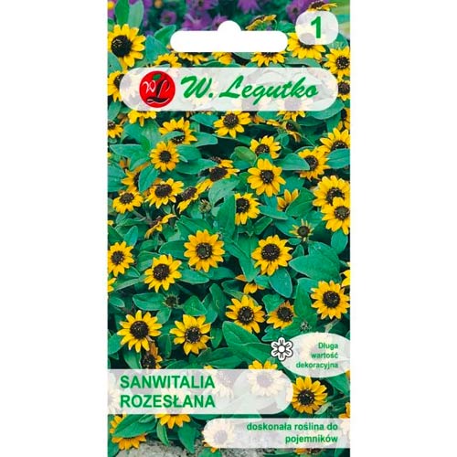 Sanwitalia byla odeslána obrázek 1 artikel 50118