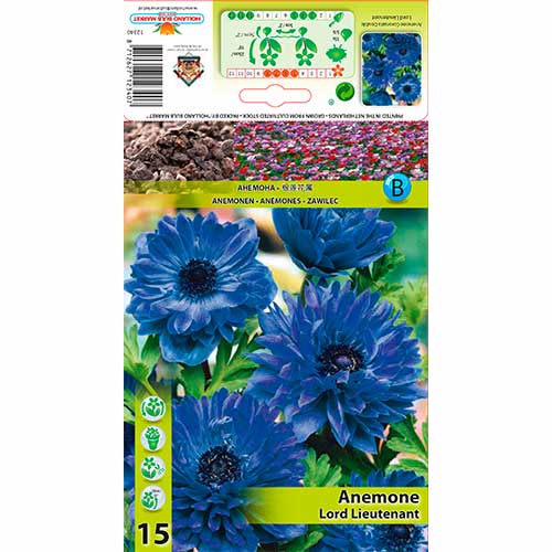 Sasanka Double Lord Lieutenant obrázek 1 artikel 76165