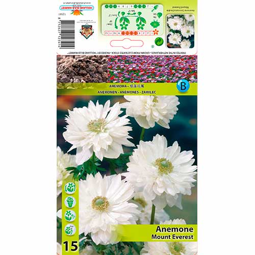 Sasanka Double Mount Everest obrázek 1 artikel 76166