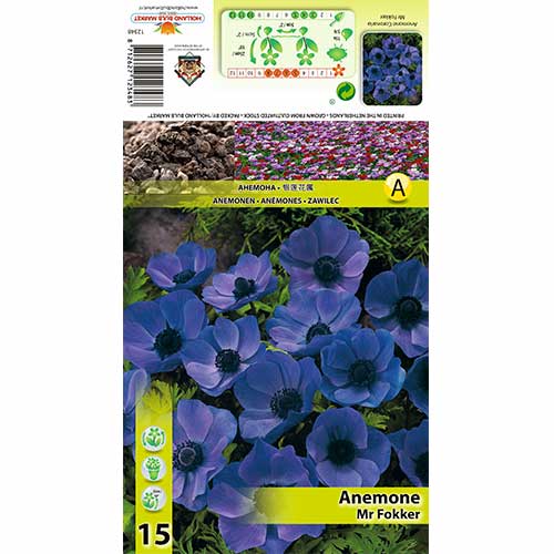 Sasanka Mr Fokker obrázek 1 artikel 70339