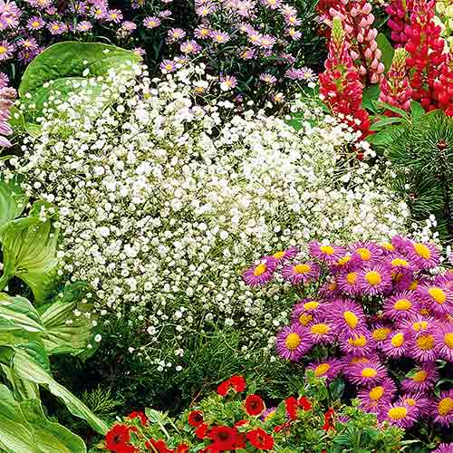 Šater latnatý bílý obrázek 1 artikel 96538