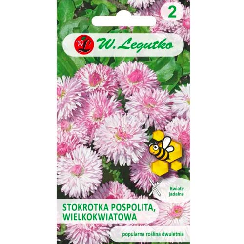 Sedmikráska obecná Maria velkokvětá obrázek 1 artikel 50121