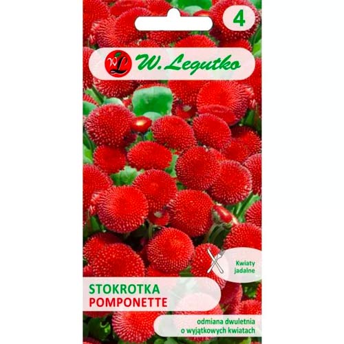 Sedmikráska obecná Pomponette červená obrázek 1 artikel 78619