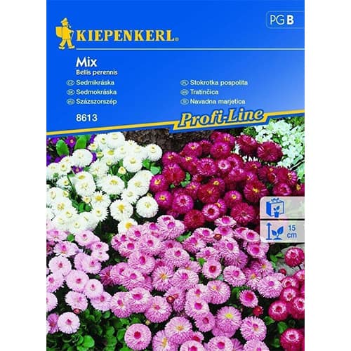 Sedmikrásky trvalky, směs barev obrázek 1 artikel 86255