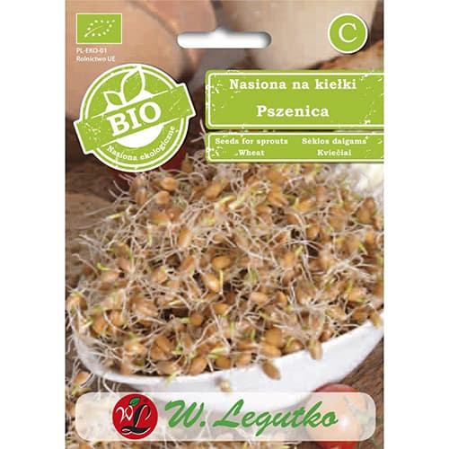 Semena na klíčky - pšenice artikel fotografie 1 Semena na klíčky - pšenice obrázek 1 artikel 86683