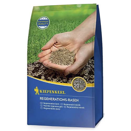 Semena trávníku pro regeneraci obrázek 1 artikel 96891