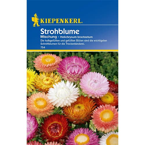 Slaměnka listenatá, směs artikel fotografie 1 Slaměnka listenatá, směs obrázek 1 artikel 77408