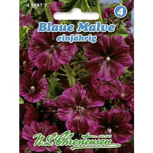 Sléz modrý (Sléz lesní) obrázek 1 artikel 96403