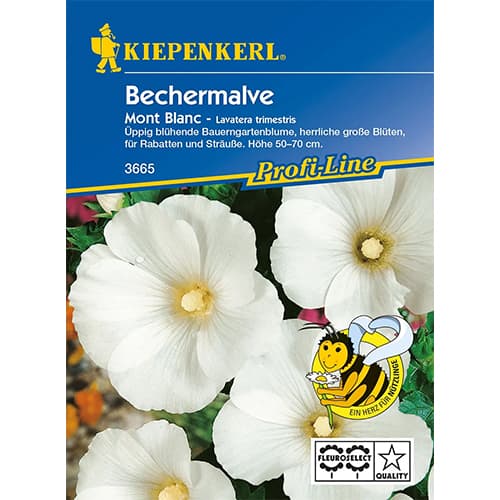 Slézovec tříměsíční Mont Blanc obrázek 1 artikel 86253