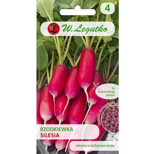 Slezsko červená ředkev obrázek 1 artikel 50140