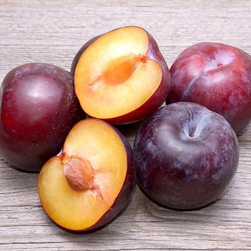 Slivoň Angeleno, C2 obrázek 1 artikel 9687