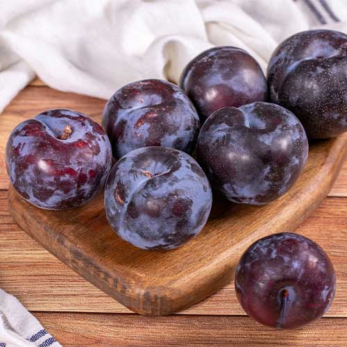 Slivoň Black Star, С2 obrázek 1 artikel 5673