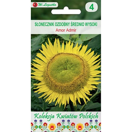 Slunečnice okrásná Amor Admir obrázek 1 artikel 86732
