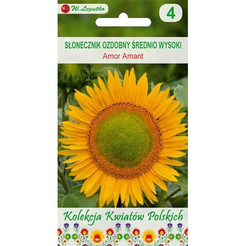 Slunečnice okrásná Amor Amant obrázek 1 artikel 86736