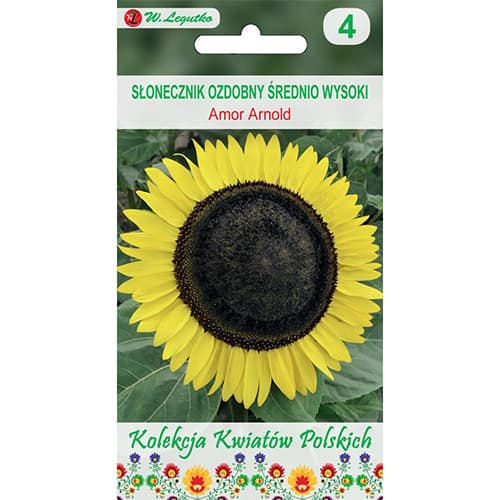 Slunečnice okrásná Amor Arnold artikel fotografie 1 Slunečnice okrásná Amor Arnold obrázek 1 artikel 86731