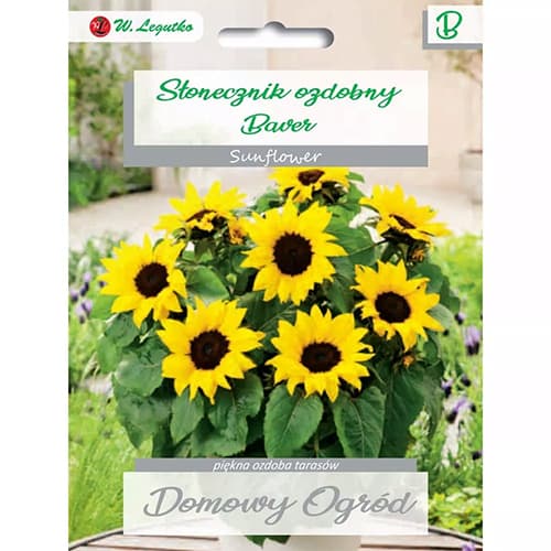 Slunečnice okrásná Baver obrázek 1 artikel 69662