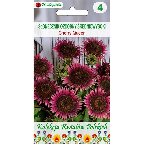 Slunečnice okrásná Cherry Queen obrázek 1 artikel 96749
