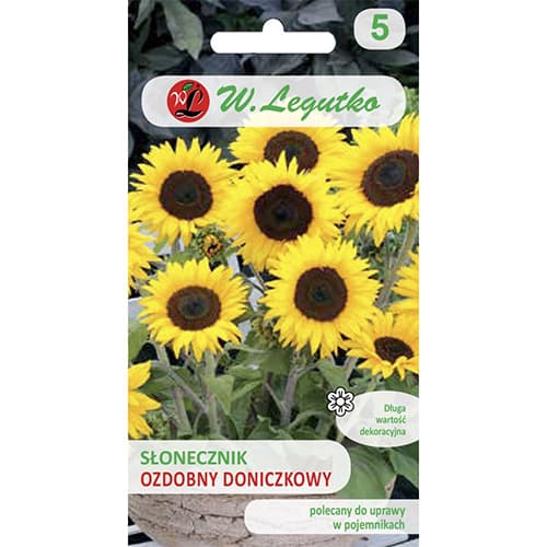 Slunečnice okrásná v květináči Polino Cola obrázek 1 artikel 69627