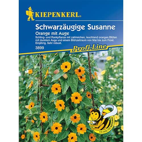 Smatovka křídlatá Orange mit Auge obrázek 1 artikel 86311
