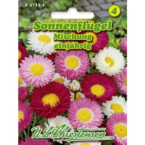 Smilek růžový, směs obrázek 1 artikel 96427