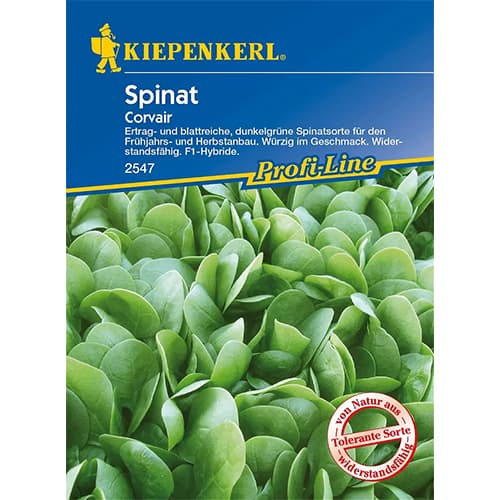 Špenát Corvair F1 obrázek 1 artikel 86533