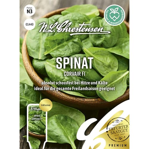 Špenát Corvair F1 obrázek 1 artikel 96497