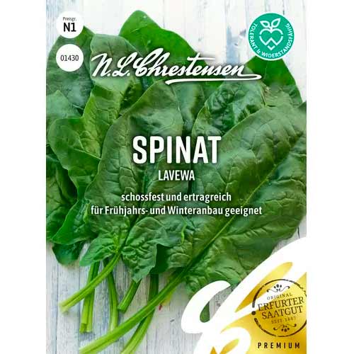 Špenát Lavewa obrázek 1 artikel 50055