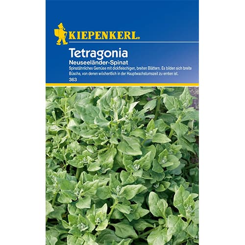 Špenát Tetragonia obrázek 1 artikel 77497