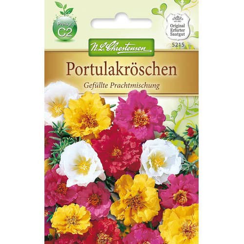 Šrucha mnohokvětá, směs obrázek 1 artikel 78931