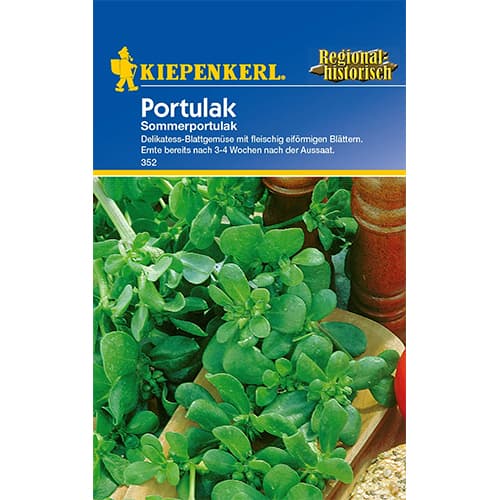 Šrucha zelná obrázek 1 artikel 77412