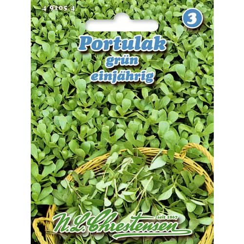 Šrucha zelná obrázek 1 artikel 96439