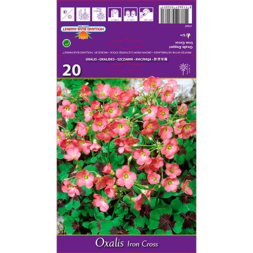 Šťavel Deppei Iron Cross obrázek 1 artikel 67671