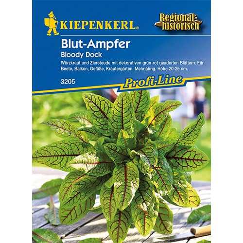 Šťovík červený Bloody Dock obrázek 1 artikel 96597