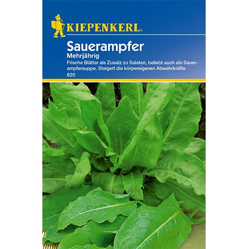 Šťovík kyselý artikel fotografie 1 Šťovík kyselý obrázek 1 artikel 77474