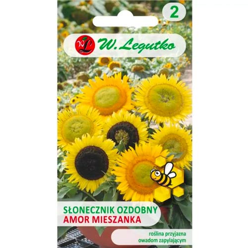 Středně vysoká svobodná slunečnice Amor obrázek 1 artikel 78586