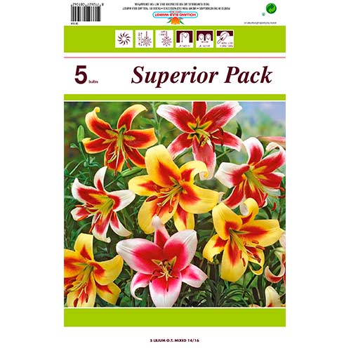 Super nabídka! Obrovská lilie (OT-hybrid) mix z 5 cibulek obrázek 1 artikel 76474