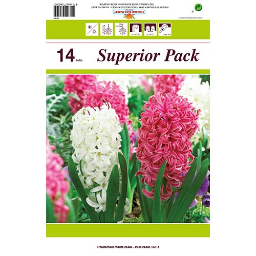 Super nabídka! Sada hyacintů z 14 cibulek artikel fotografie 1 Super nabídka! Sada hyacintů z 14 cibulek obrázek 1 artikel 67550