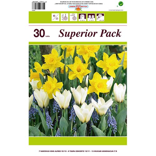 Super nabidka! Sada narcisu, modrencu a tulipanů greigův z 30 cibulek artikel fotografie 1 Super nabidka! Sada narcisu, modrencu a tulipanů greigův z 30 cibulek obrázek 1 artikel 67902