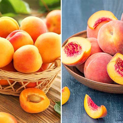 Super nabídka! Sada ovocných a bobulovitých produktů, 2 sazenice obrázek 1 artikel 5676