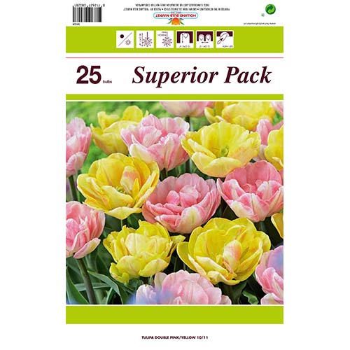 Super nabídka! Sada tulipánů z 2 odrůd obrázek 1 artikel 70316