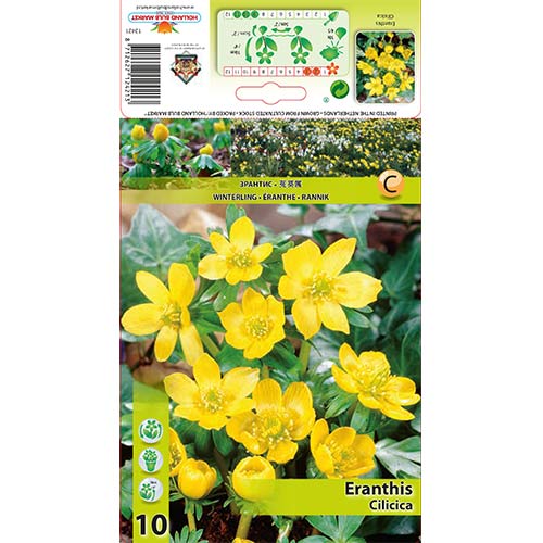 Talovín Cilicica artikel fotografie 1 Talovín Cilicica obrázek 1 artikel 70313