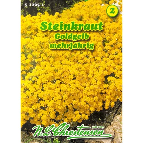 Tařice skalní Goldkorbchen obrázek 1 artikel 78969