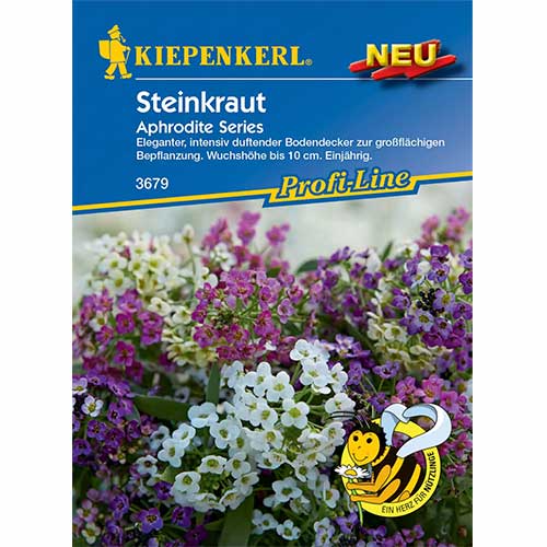 Tařicovka přímořská Aphrodite Series obrázek 1 artikel 96586