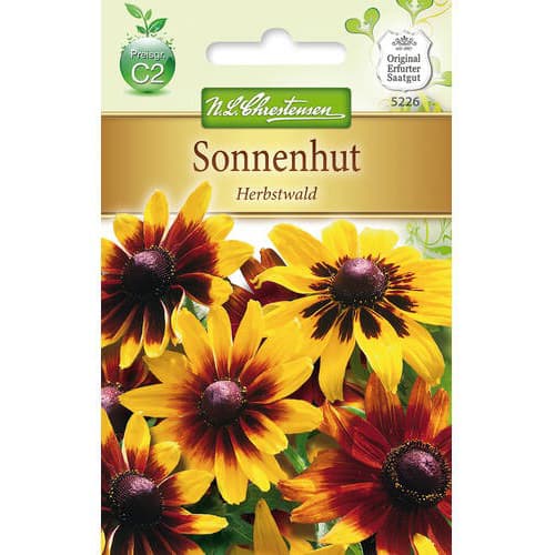 Třapatka srstnatá Herbstwald obrázek 1 artikel 78934