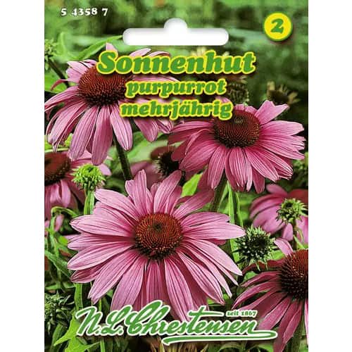 Třapatkovka nachová mnohokvětá (Echinacea) obrázek 1 artikel 96443