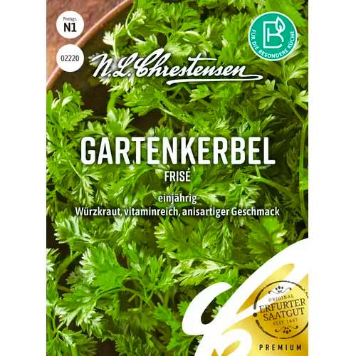 Třebule pravá Frise obrázek 1 artikel 50044