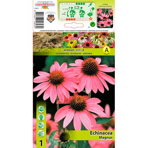 Třapatka (Echinacea) Magnus obrázek 1 artikel 76625