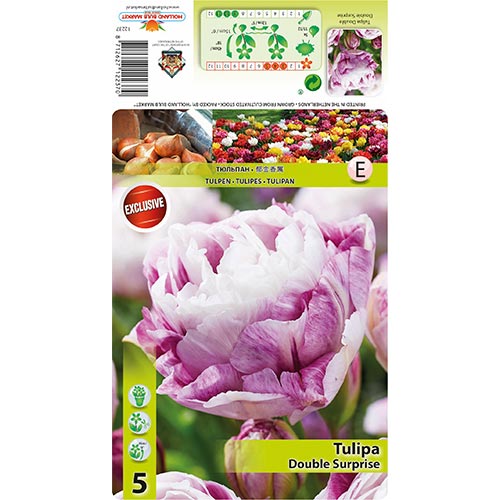 Tulipán Double Surprise obrázek 1 artikel 68405