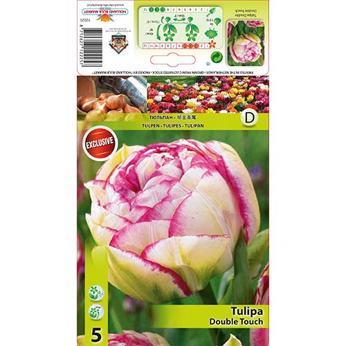 Tulipán Double Touch obrázek 1 artikel 67458